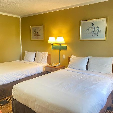 Smokies Inn - New Linens & Ultrafast Wifi - Friendliest Hospitality Guaranteed! 코닥 외부 사진